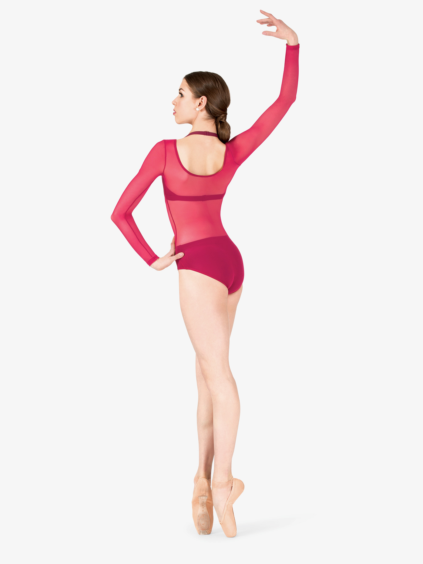 Download Performance Sheer Mesh Long Sleeve Leotard | Body Wrappers ...